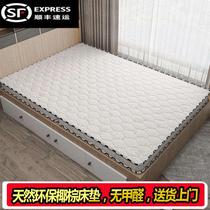Natural eco-friendly coconut palm mattress rental room Dormitory Home Palm Care Ridge Waist Cushion primary-secondary bed for up and down hardmattress