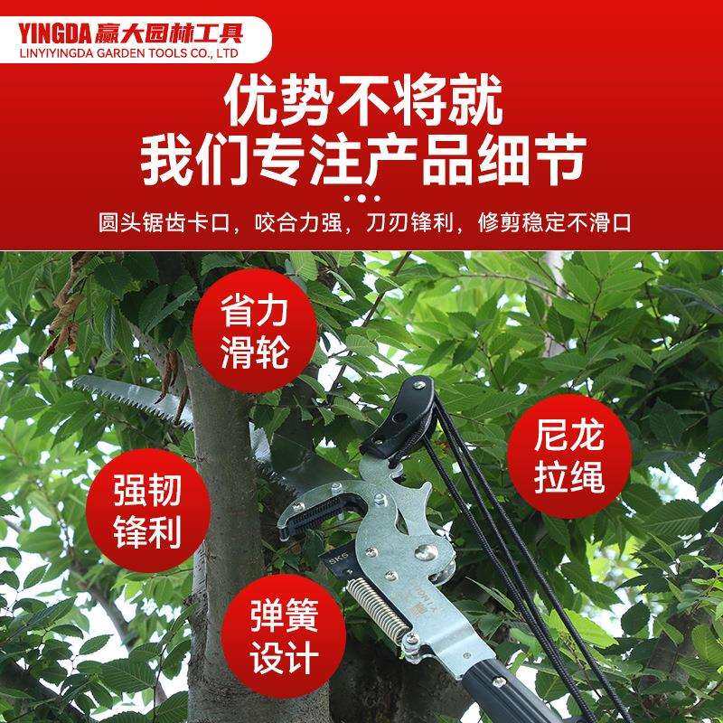 赢大省力高枝剪高空锯修枝剪铝合金伸缩杆摘果剪园林工具高枝锯,淘宝优惠券,粉丝福利购,淘宝优惠卷