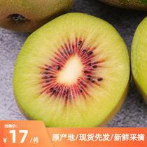 Sichuan origin (red heart kiwi) chic exotic fruit and sweet and delicious now with fresh fruit feral in the season