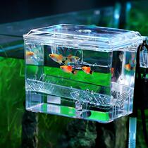 Fish tank hanging type isolation box bred box hatching box feeding box pneumatically electric type isolated peacock fish breeding