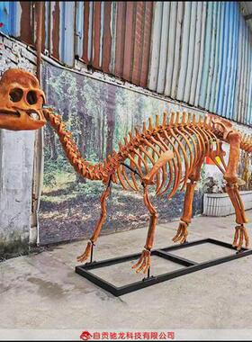 米霸王龙骨架模型仿真恐龙玻璃钢玻璃钢树脂生物骨架标本