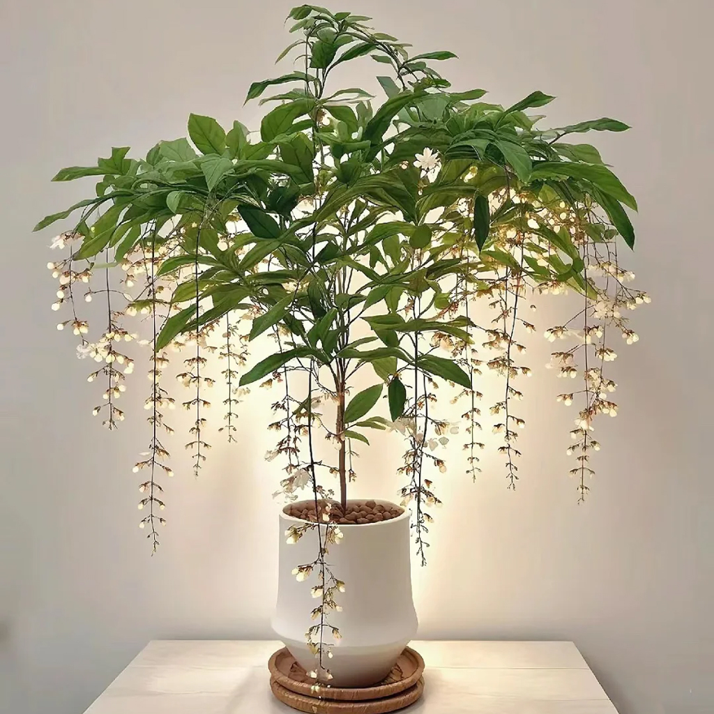 【两小时达】垂丝茉莉带花苞盆栽室内阳台垂钓生日开业乔迁送礼 - 图1