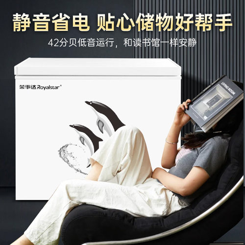 荣事达冰柜家用小型商用冷冻柜保鲜两用大容量一级能效速冻冷柜 - 图1