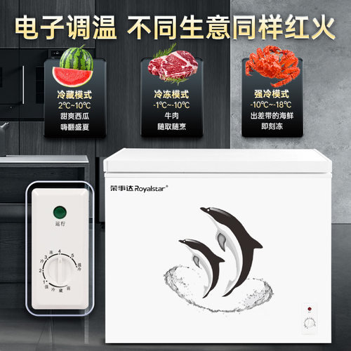 荣事达冰柜家用小型商用冷冻柜保鲜两用大容量一级能效速冻冷柜 - 图2