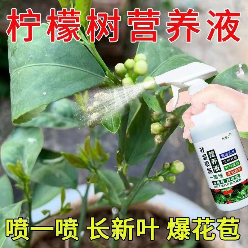 植物营养液通用型柠檬树专用肥黄叶病专用药叶斑病掉叶柠檬树不开-图3