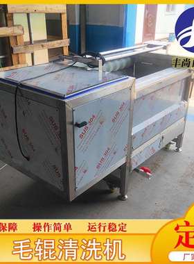 全自动花生毛辊清洗机设备果蔬毛辊去皮清洗机羊蹄子清洗机设备