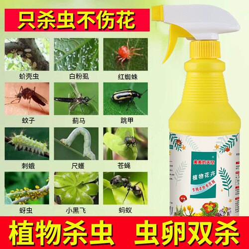 通用型杀虫剂 防虫杀虫 无需稀释 安全室内可用 只杀虫不伤花 - 图2