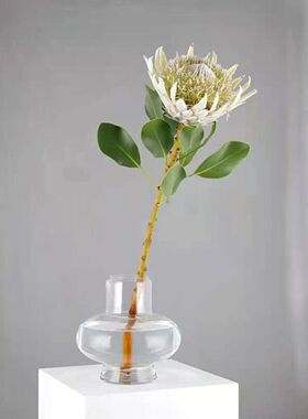欧式简约透明玻璃花摆件客厅插花家居水培鲜花干花装饰