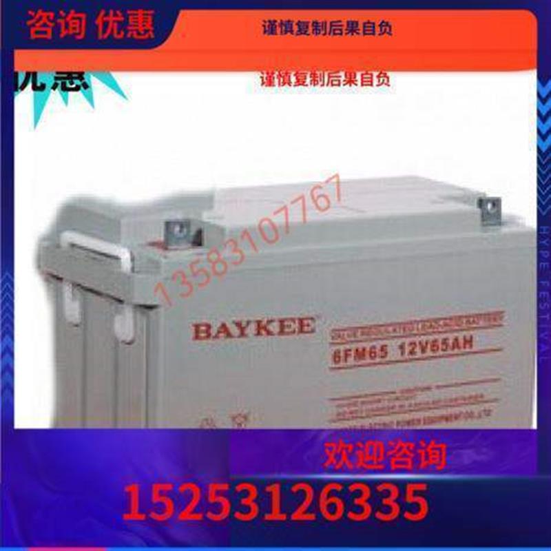 BAYKEE柏克蓄电池6FM65直流屏12V65AH应急UPS电源铅酸免维护-图0