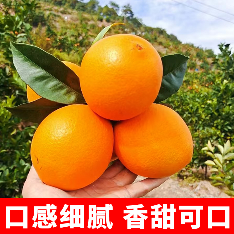 高山奉节脐橙橙子新鲜水果当季带箱5斤正宗精品大果彩箱10礼盒