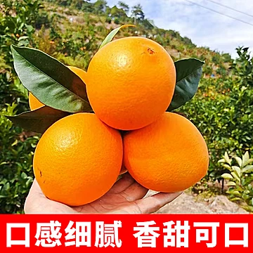 高山奉节脐橙中大果净重4.5斤[5元优惠券]-寻折猪