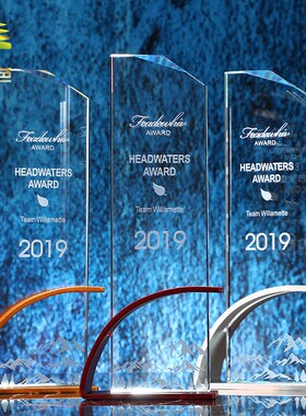 水晶创意金属奖杯大气金s银铜荣誉奖牌年会平安刻字定做红色科技