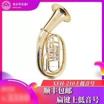 Starfish Brass Instrument XEH-110 XEH-210 Flyover on Bass Horn on Bass Descending B Hugging Horn Larger