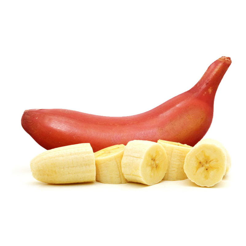 福建红美人香蕉9斤新鲜水果现摘火龙焦芭蕉小米蕉红香焦整箱包邮-图0