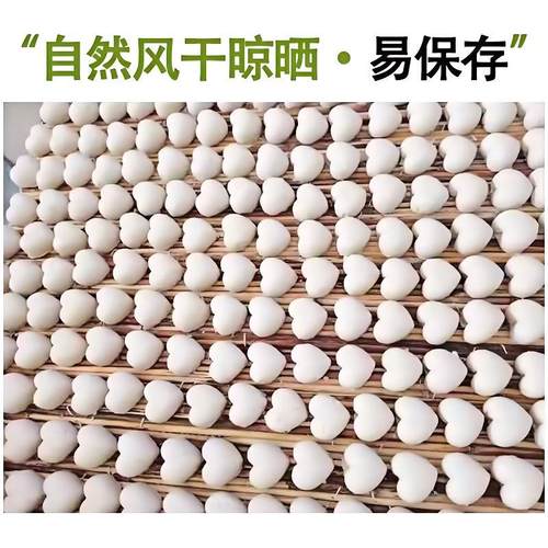 梨乡润【自然酵母】生态老面酵头引包子馒头面包耐高糖 - 图0