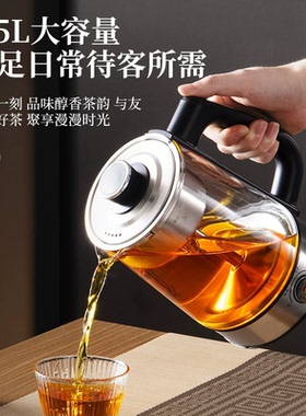 德国全自动蒸汽喷淋养生壶煮茶器