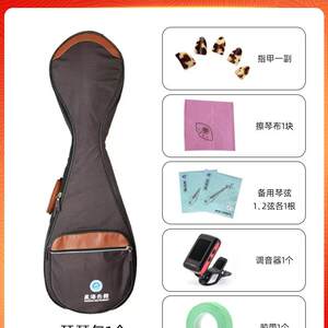 北京星海琵琶演奏成人考级花梨木初学入门非洲紫檀木专业民族乐器