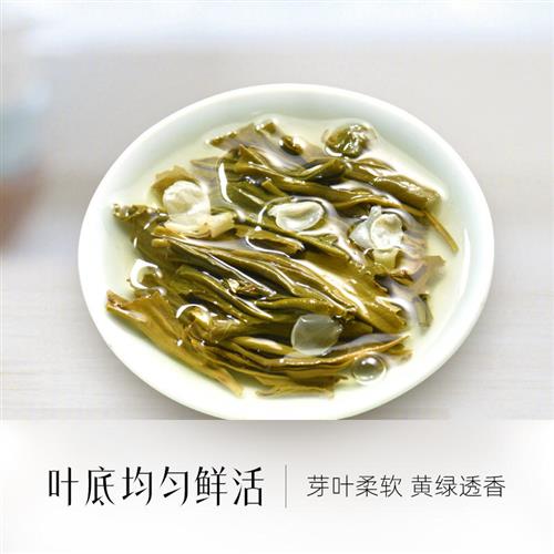 茶无茗茉莉花茶春毫特级茉莉绿茶六窨浓香型耐泡口粮茶单罐装200g-图1