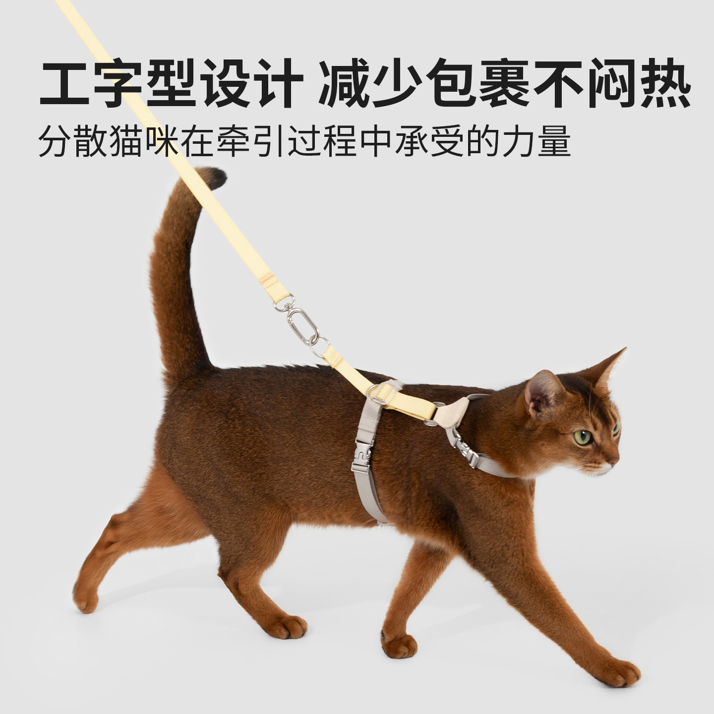 HiDREAM猫咪牵引绳遛猫绳工字型不易挣脱外出专用德文猫外出绳,淘宝优惠券,粉丝福利购,淘宝优惠卷
