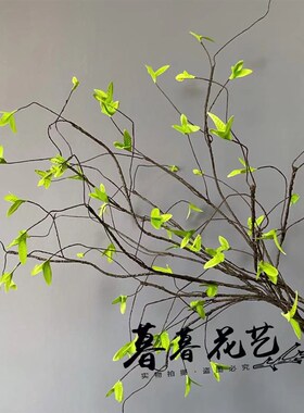 彷真树藤发泡枯树藤婚庆装饰管道空调造景树枝柳树枝条藤条藤蔓条