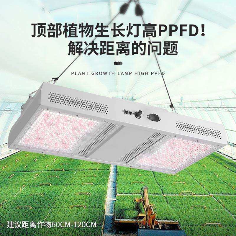 东南亚高棚植物生长灯花草种植补光灯gavita1930epro全光谱植物灯,淘宝优惠券,粉丝福利购,淘宝优惠卷