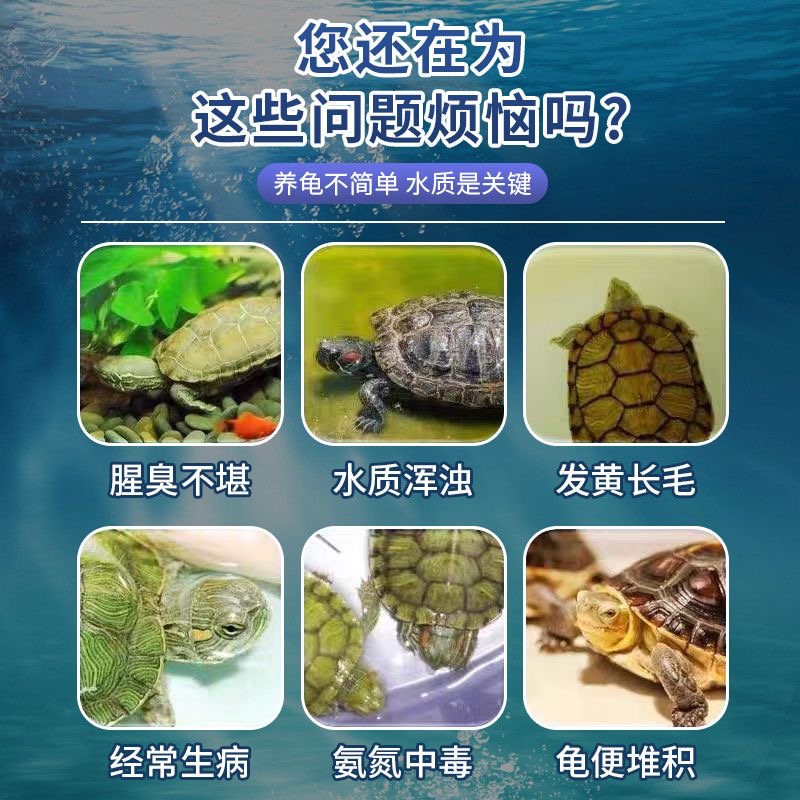护龟液水巴西龟乌龟药常用护龟宝消炎杀菌腐皮烂甲白眼病护理通用 - 图0