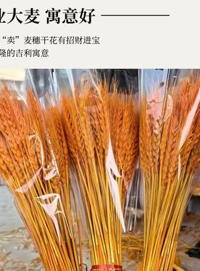 【花店专用】精品黄金大麦开业花篮装饰麦穗大麦穗干花特大号