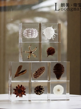 植物标本蒲公英树脂铂q晶透明摆件客厅书房现代轻奢设Z计师装饰品