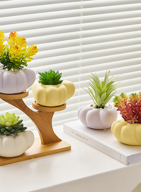 极速奶油ins风猫爪仿真多肉盆栽创意办公室N桌面家居客厅装饰品小