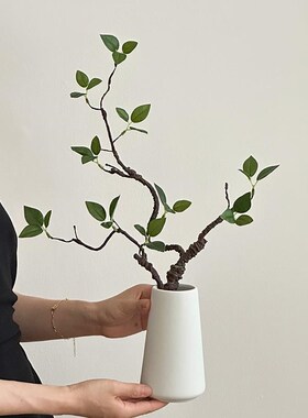 高级感小众彷真绿色植物桌面摆件彷真花花瓶N客厅插花轻奢电视柜