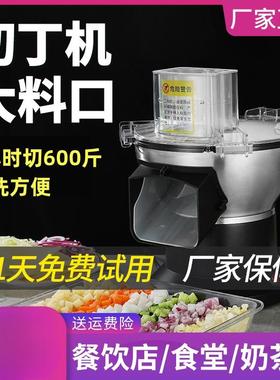 切丁机商用电动多功能小型蔬菜土豆萝卜片丝切块机切丁神器全自动