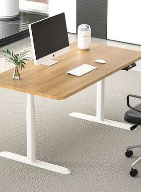 实木智能电动升降桌移动通用升降桌椭圆形升降桌腿智能升降书桌