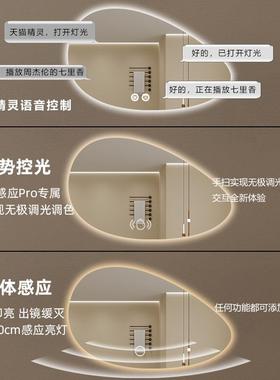 异形不规则洗手间浴室镜子卫生间智能镜触摸led发光化妆镜子