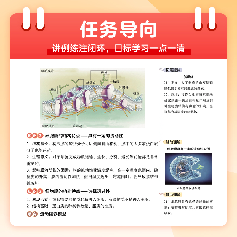 高途从教材到考试高中教材同步讲解生物必修第一册人教版