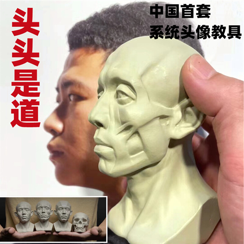 头头是道头像教具头骨肌肉石膏解剖模型小型摆件单个套装美术教具 - 图3