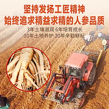 签到！华韩庄高居丽加拿大进口西洋参50克[2元优惠券]-寻折猪