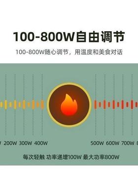 养生壶多功能小型炖煮一体烧水壶煮茶器