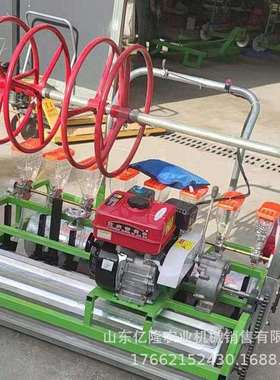 手推式蔬菜播种机白菜菠菜香菜点播机韭菜芹菜精播机