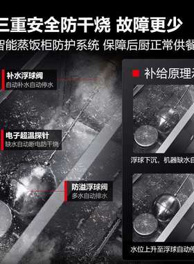 德玛仕商用电热蒸饭柜不锈钢定时防干烧蒸车双门蒸柜304蒸盘蒸箱