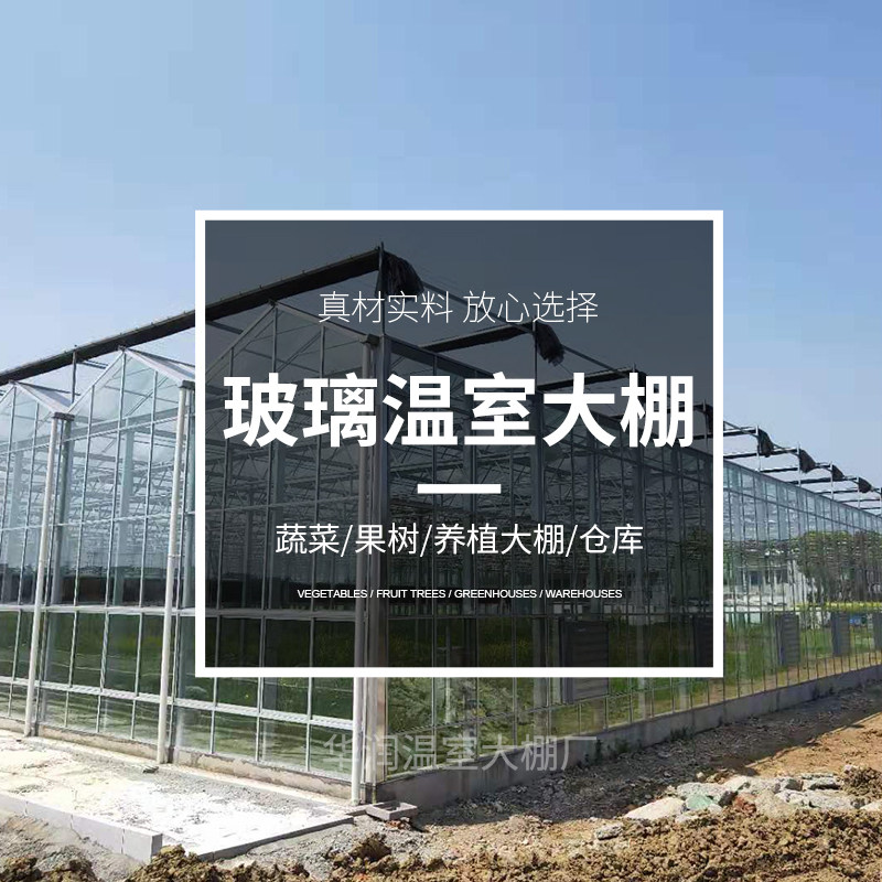 极速智能温室玻i璃大棚花卉蔬菜养殖A大棚骨架智能阳光板温室厂家,淘宝优惠券,粉丝福利购,淘宝优惠卷