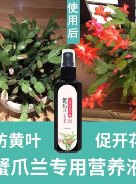 【软烂干瘪】蟹爪兰急救发蔫软烂黄叶不开花壮根液体肥专用液体肥