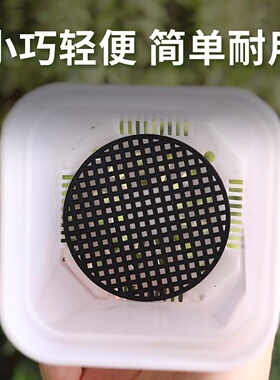 多肉花盆底孔垫网底网垫片防漏网底部防漏土透气网格垫子垫底网片
