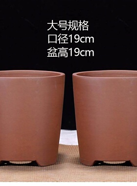 宜兴紫砂花盆直筒兰花盆厂家直销特价清仓高款君子兰阳台室内花盆