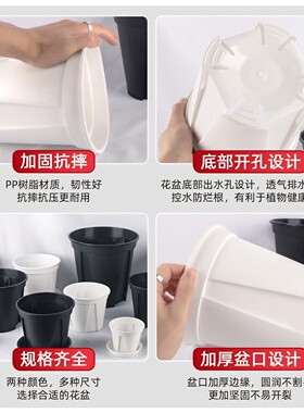 加厚青山盆控根盆龟背竹特大号黑色白色透气彩叶芋塑料花盆种植盆