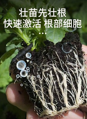 羊粪发酵肥腐熟种菜肥通用有机肥料养花专用花肥家用纯羊粪农家肥