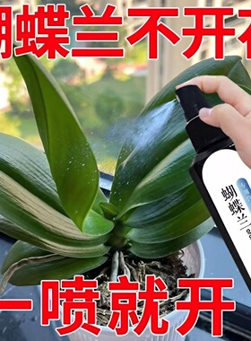 蝴蝶兰爆箭王植物营养液促花剑开花防黄叶兰花专用肥通用有机肥