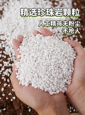 珍珠岩无尘养花通用营养土多肉兰花种植育苗膨胀保温硬质植料园艺