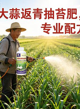 大蒜肥料蔬菜大蒜返青抽苔肥大蒜苔粗专用增产早熟专用叶面肥料