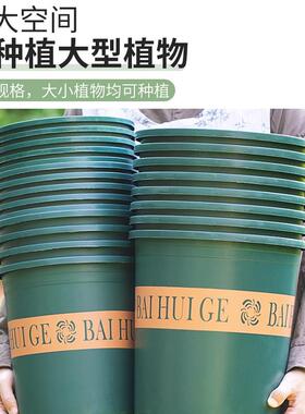 花盆加厚塑料花盆花盆月季花盆阳台客厅树脂花盆特大号加仑盆