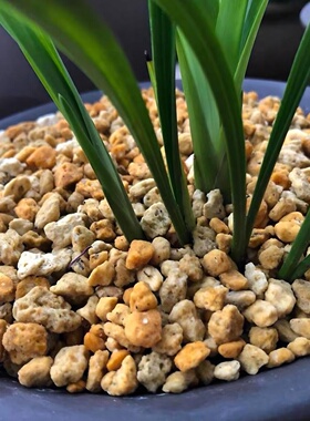 植金石日本进口兰花专用透气土植料多肉拌土铺面石萨摩土颗粒整包